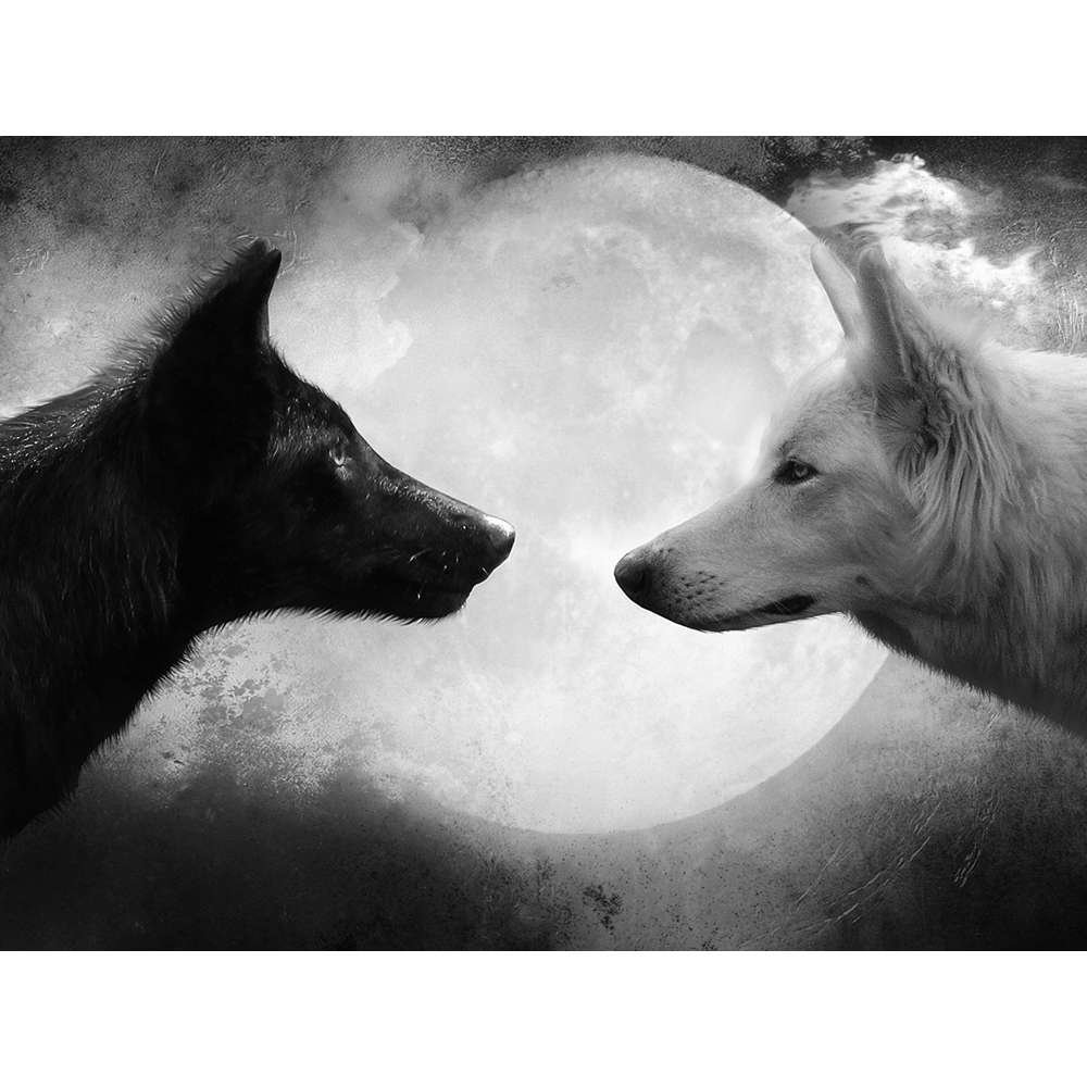 Amazon.co.jp: ブラックウルフと白オオカミ – 野生生物動物アート